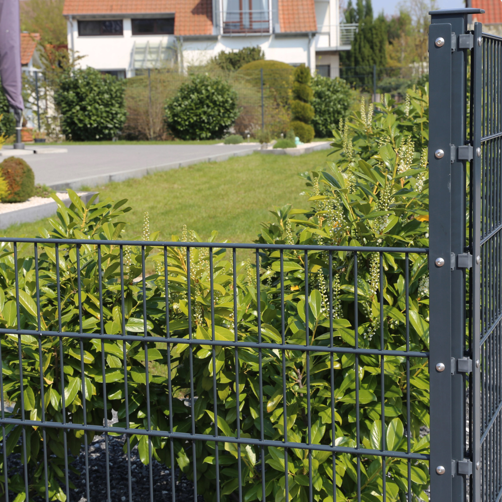 Greenwork GaLaBau Cloppenburg – Gepflegte Außenanlage eines Gewerbebetriebs im Landkreis Cloppenburg