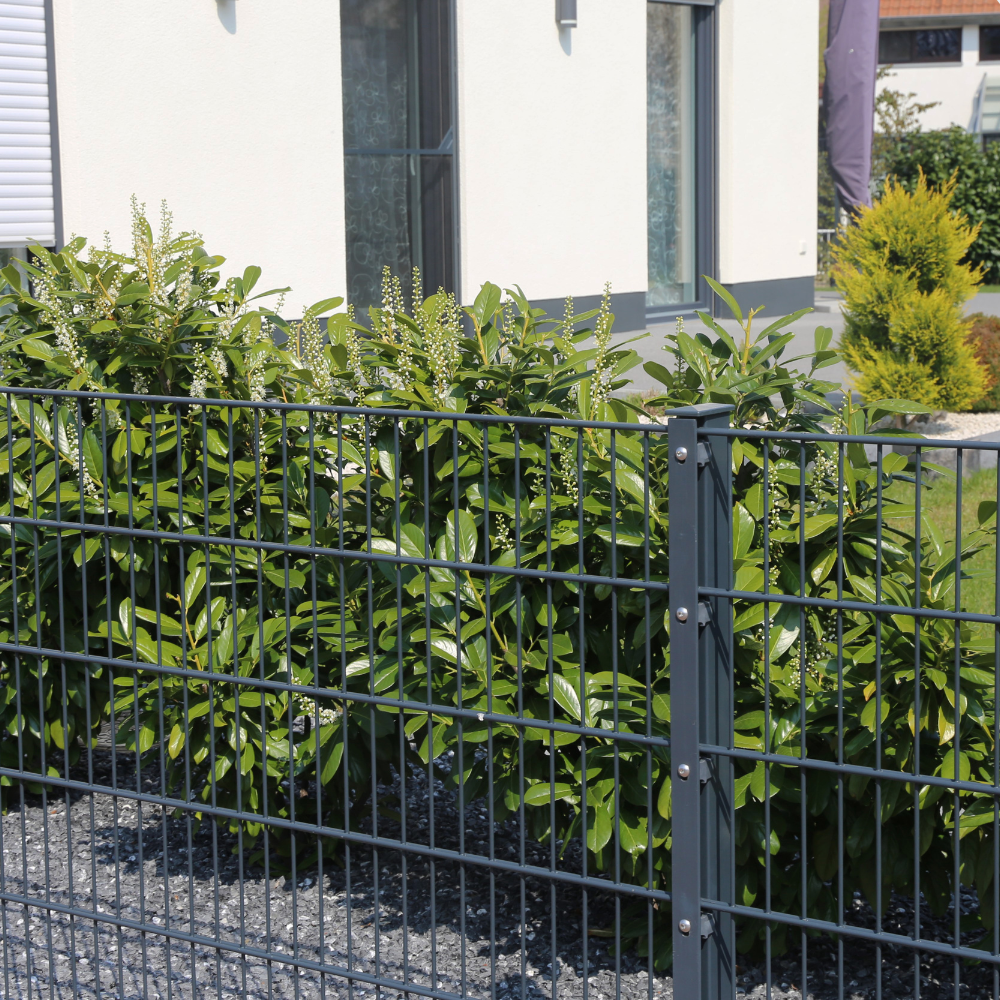 Gartenpflege und Grünflächen für Bestand