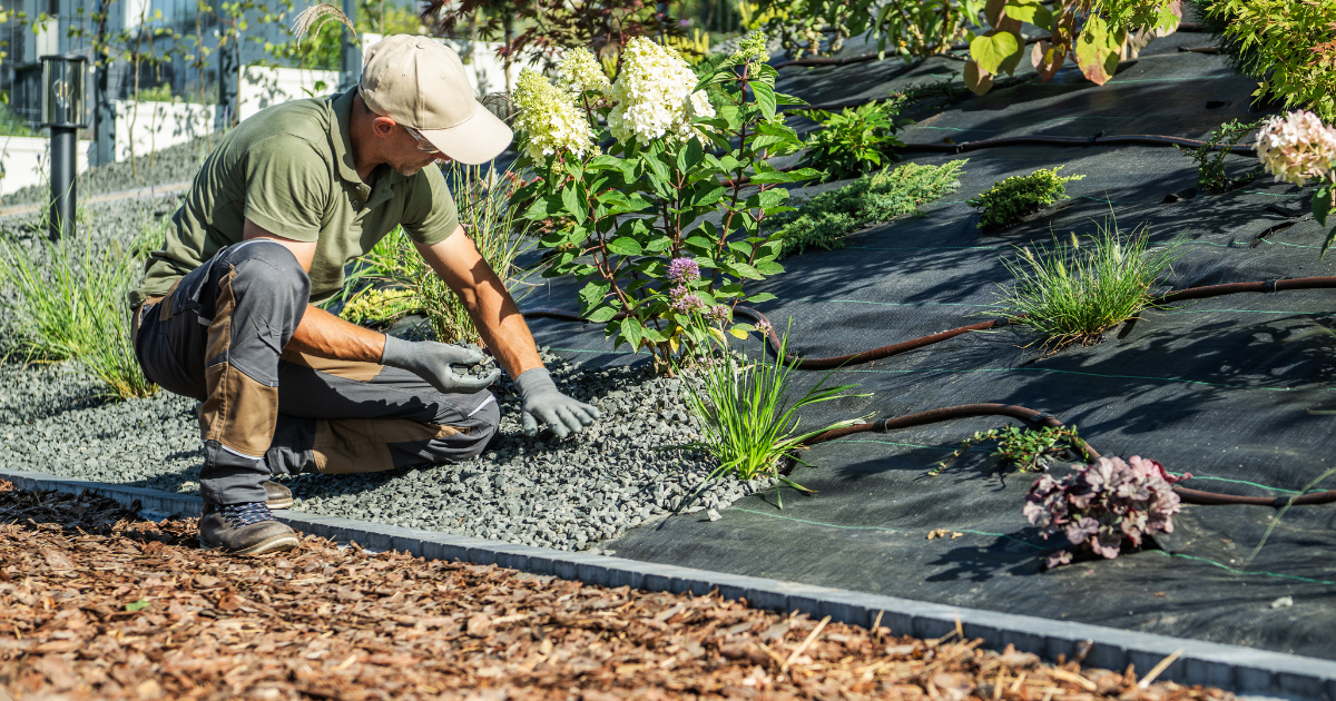 Gepflegte gewerbliche Außenanlage mit Pflasterweg und Grünfläche — Greenwork Garten- und Landschaftsbau Vechta